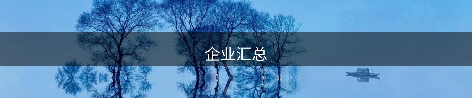 企业汇总